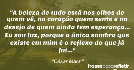 “A beleza de tudo está nos olhos de quem vê, no coração quem sente e no desejo de quem ainda tem esperança… Eu sou luz, porque a única sombra que existe em mim é o reflexo do que já fui…”