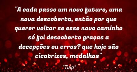 “A cada passo um novo futuro, uma nova descoberta, então por que querer voltar se esse novo caminho só foi descoberto graças a decepções ou erros? que hoje são cicatrizes, medalhas”