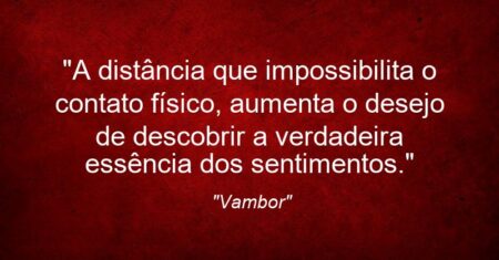 “A distância que impossibilita o contato físico, aumenta o desejo de descobrir a verdadeira essência dos sentimentos.”