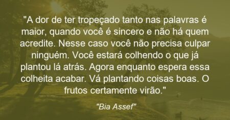 “A dor de ter tropeçado tanto nas palavras é maior, quando você é sincero e não há quem acredite. Nesse caso você não precisa culpar ninguém. Você estará colhendo o que já plantou lá atrás. Agora enquanto espera essa colheita acabar. Vá plantando coisas boas. O frutos certamente virão.”