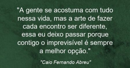 “A gente se acostuma com tudo nessa vida, mas a arte de fazer cada encontro ser diferente, essa eu deixo passar porque contigo o imprevisível é sempre a melhor opção.”