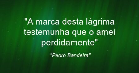 “A marca desta lágrima testemunha que o amei perdidamente”