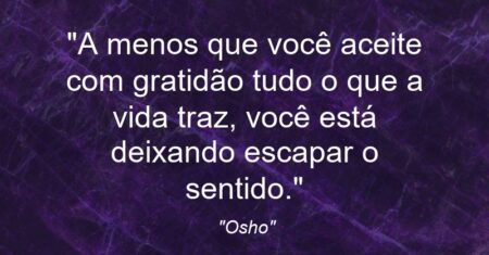 “A menos que você aceite com gratidão tudo o que a vida traz, você está deixando escapar o sentido.”