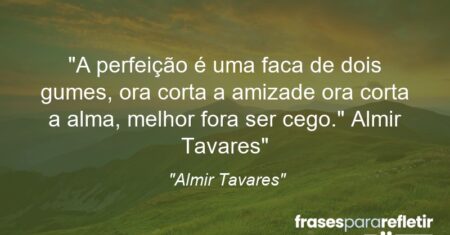 “A perfeição é uma faca de dois gumes, ora corta a amizade ora corta a alma, melhor fora ser cego.” Almir Tavares”
