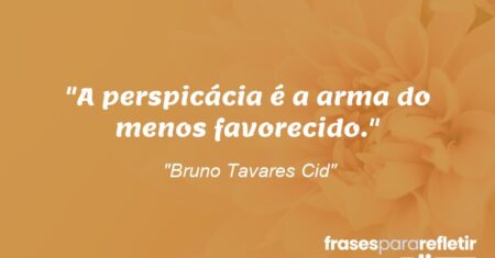 “A perspicácia é a arma do menos favorecido.”