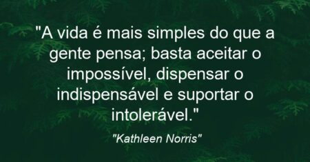 “A vida é mais simples do que a gente pensa; basta aceitar o impossível, dispensar o indispensável e suportar o intolerável.”