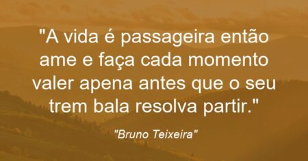 “A vida é passageira então ame e faça cada momento valer apena antes que o seu trem bala resolva partir.”