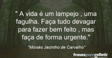 “ A vida é um lampejo , uma fagulha. Faça tudo devagar para fazer bem feito , mas faça de forma urgente.”