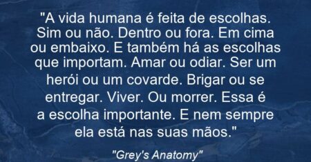 “A vida humana é feita de escolhas. Sim ou não. Dentro ou fora. Em cima ou embaixo. E também há as escolhas que importam. Amar ou odiar. Ser um herói ou um covarde. Brigar ou se entregar. Viver. Ou morrer. Essa é a escolha importante. E nem sempre ela está nas suas mãos.”