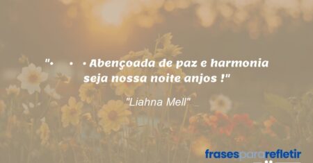 “• ೋ ✿ • ♡ • Abençoada de paz e harmonia seja nossa noite anjos !”