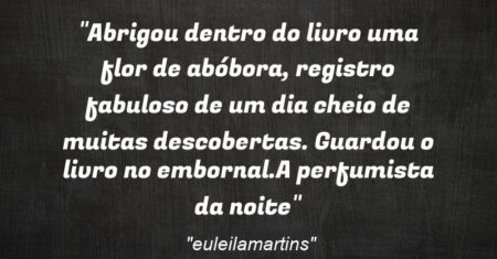 “Abrigou dentro do livro uma flor de abóbora, registro fabuloso de um dia cheio de muitas descobertas. Guardou o livro no embornal.(A perfumista da noite)”