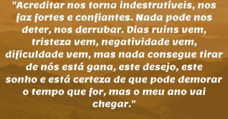 “Acreditar nos torna indestrutíveis, nos faz fortes e confiantes. Nada pode nos deter, nos derrubar. Dias ruins vem, tristeza vem, negatividade vem, dificuldade vem, mas nada consegue tirar de nós está gana, este desejo, este sonho e está certeza de que pode demorar o tempo que for, mas o meu ano vai chegar.”