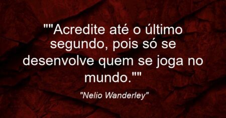 “”Acredite até o último segundo, pois só se desenvolve quem se joga no mundo.””