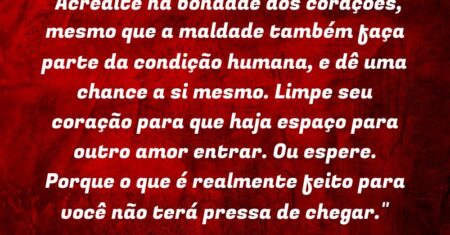 “Acredite na bondade dos corações, mesmo que a maldade também faça parte da condição humana, e dê uma chance a si mesmo. Limpe seu coração para que haja espaço para outro amor entrar. Ou espere. Porque o que é realmente feito para você não terá pressa de chegar.”