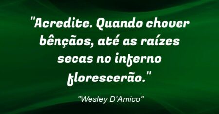 “Acredite. “Quando chover bênçãos, até as raízes secas no inferno florescerão.””