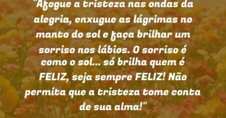 “Afogue a tristeza nas ondas da alegria, enxugue as lágrimas no manto do sol e faça brilhar um sorriso nos lábios. O sorriso é como o sol… só brilha quem é FELIZ, seja sempre FELIZ! Não permita que a tristeza tome conta de sua alma!”