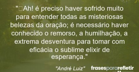 “Ah! é preciso haver sofrido muito para entender todas as misteriosas belezas da oração; é necessário haver conhecido o remorso, a humilhação, a extrema desventura para tomar com eficácia o sublime elixir de esperança.”