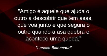 “Amigo é aquele que ajuda o outro a descobrir que tem asas, que voa junto e que segura o outro quando a asa quebra e acontece uma queda.”