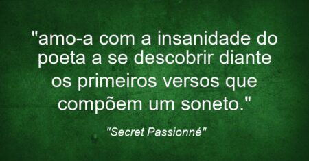 “amo-a com a insanidade do poeta a se descobrir diante os primeiros versos que compõem um soneto.”