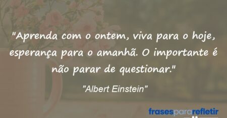 “Aprenda com o ontem, viva para o hoje, esperança para o amanhã. O importante é não parar de questionar.”