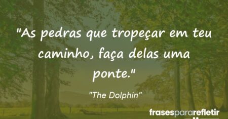 “As pedras que tropeçar em teu caminho, faça delas uma ponte.”