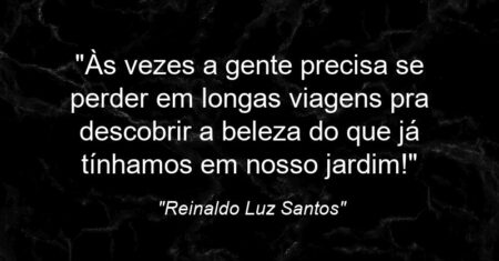 “Às vezes a gente precisa se perder em longas viagens pra descobrir a beleza do que já tínhamos em nosso jardim!”