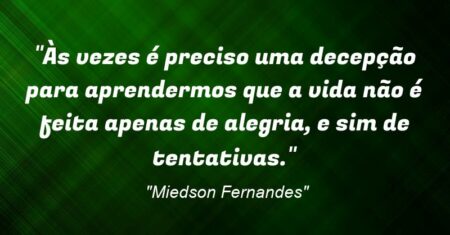 “Às vezes é preciso uma decepção para aprendermos que a vida não é feita apenas de alegria, e sim de tentativas.”