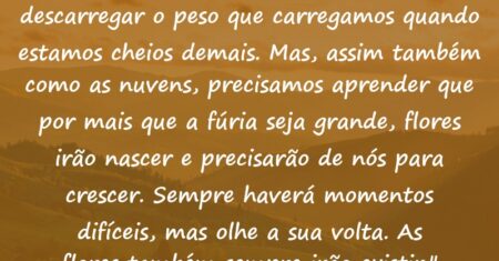 “Assim como nuvens, precisamos descarregar o peso que carregamos quando estamos cheios demais. Mas, assim também como as nuvens, precisamos aprender que por mais que a fúria seja grande, flores irão nascer e precisarão de nós para crescer. Sempre haverá momentos difíceis, mas olhe a sua volta. As flores também sempre irão existir.”