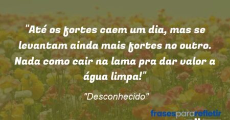“Até os fortes caem um dia, mas se levantam ainda mais fortes no outro. Nada como cair na lama pra dar valor a água limpa!”