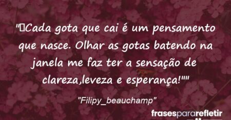 “Cada gota que cai é um pensamento que nasce. Olhar as gotas batendo na janela me faz ter a sensação de clareza,leveza e esperança!””