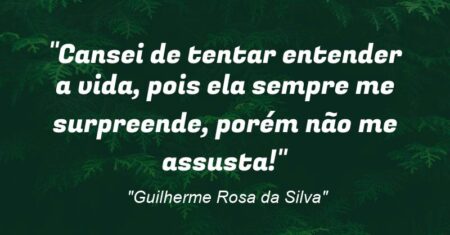 “Cansei de tentar entender a vida, pois ela sempre me surpreende, porém não me assusta!”