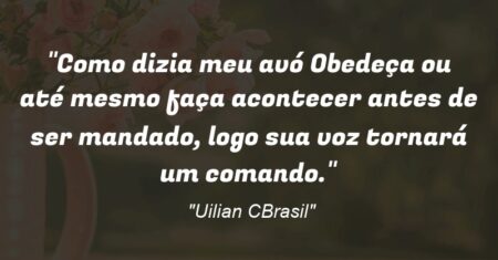 “Como dizia meu avó: Obedeça ou até mesmo faça acontecer antes de ser mandado, logo sua voz tornará um comando.”