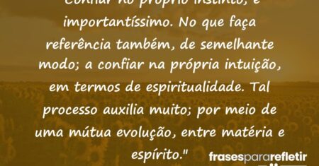 “Confiar no próprio instinto; é importantíssimo. No que faça referência também, de semelhante modo; a confiar na própria intuição, em termos de espiritualidade. Tal processo auxilia muito; por meio de uma mútua evolução, entre matéria e espírito.”
