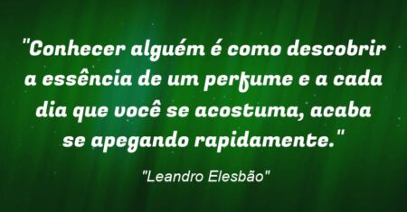 “Conhecer alguém é como descobrir a essência de um perfume e a cada dia que você se acostuma, acaba se apegando rapidamente.”
