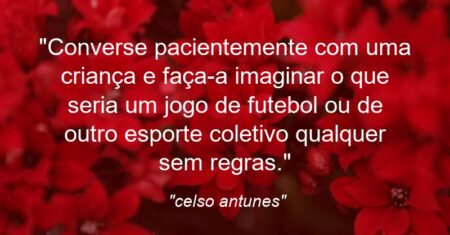“Converse pacientemente com uma criança e faça-a imaginar o que seria um jogo de futebol ou de outro esporte coletivo qualquer sem regras.”