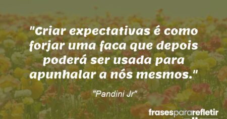 “Criar expectativas é como forjar uma faca que depois poderá ser usada para apunhalar a nós mesmos.”