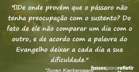 “De onde provém que o pássaro não tenha preocupação com o sustento? Do fato de ele não comparar um dia com o outro, e de acordo com a palavra do Evangelho deixar a cada dia a sua dificuldade.”
