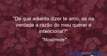 “De que adianta dizer te amo, se na verdade a razão do meu querer é intencional?”