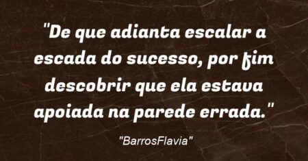 “De que adianta escalar a escada do sucesso, por fim descobrir que ela estava apoiada na parede errada.”