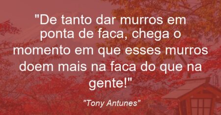 “De tanto dar murros em ponta de faca, chega o momento em que esses murros doem mais na faca do que na gente!”