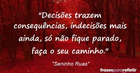 “Decisões trazem consequências, indecisões mais ainda, só não fique parado, faça o seu caminho.”