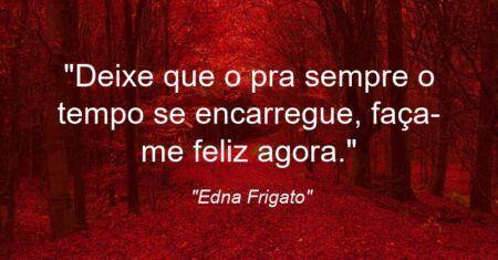 “Deixe que o “pra sempre” o tempo se encarregue, faça-me feliz agora.”