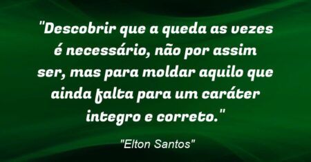 “Descobrir que a queda as vezes é necessário, não por assim ser, mas para moldar aquilo que ainda falta para um caráter integro e correto.”