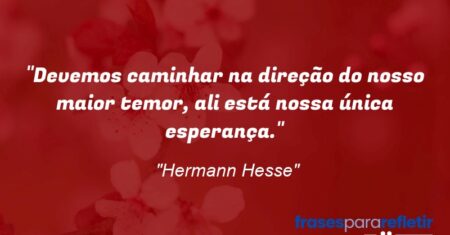 “Devemos caminhar na direção do nosso maior temor, ali está nossa única esperança.”