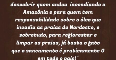 “Deveriam acionar o TIAR para descobrir quem andou incendiando a Amazônia e para quem tem responsabilidade sobre o óleo que invadiu as praias do Nordeste, e sobretudo, para reflorestar e limpar as praias, já basta o fato que o saneamento é praticamente 0 em todo o país!”