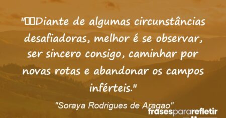 “Diante de algumas circunstâncias desafiadoras, melhor é se observar, ser sincero consigo, caminhar por novas rotas e abandonar os campos inférteis.”