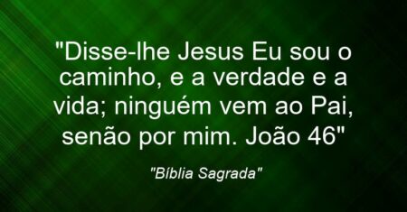 “Disse-lhe Jesus: Eu sou o caminho, e a verdade e a vida; ninguém vem ao Pai, senão por mim. (João 4:6)”