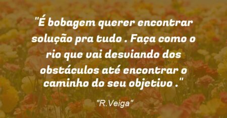 “É bobagem querer encontrar solução pra tudo . Faça como o rio que vai desviando dos obstáculos até encontrar o caminho do seu objetivo .”