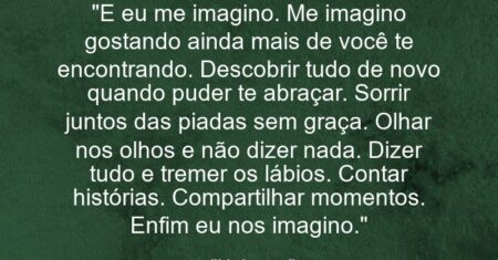 “E eu me imagino. Me imagino gostando ainda mais de você te encontrando. Descobrir tudo de novo quando puder te abraçar. Sorrir juntos das piadas sem graça. Olhar nos olhos e não dizer nada. Dizer tudo e tremer os lábios. Contar histórias. Compartilhar momentos. Enfim… eu nos imagino.”