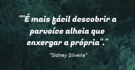 “”É mais fácil descobrir a parvoíce alheia que enxergar a própria”.”